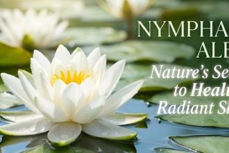 A close-up of a beautiful White Waterlily (Nymphaea Alba) floating on water, representing natural and pure skincare ingredients.
